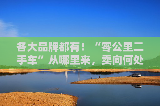 各大品牌都有！“零公里二手车”从哪里来，卖向何处，影响有多大？