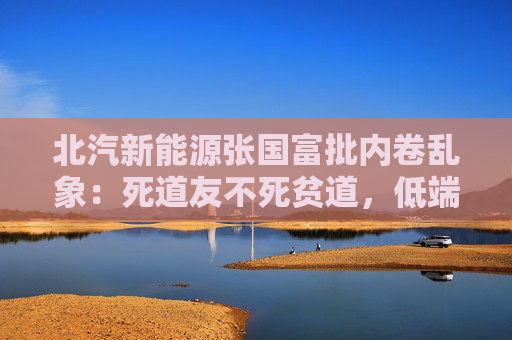 北汽新能源张国富批内卷乱象：死道友不死贫道，低端竞争是一条死胡同