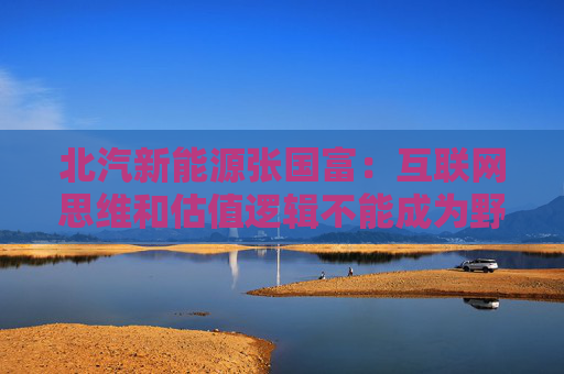 北汽新能源张国富：互联网思维和估值逻辑不能成为野蛮生长的理由