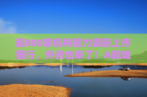 超800家机构接力调研上市银行，外资也来了！A股城商行最受宠，有何吸引力