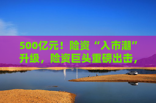 500亿元！险资“入市潮”升级，险资巨头重磅出击，股权投资探索频频