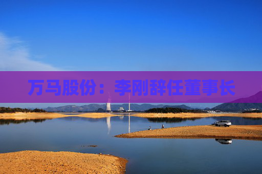 万马股份：李刚辞任董事长