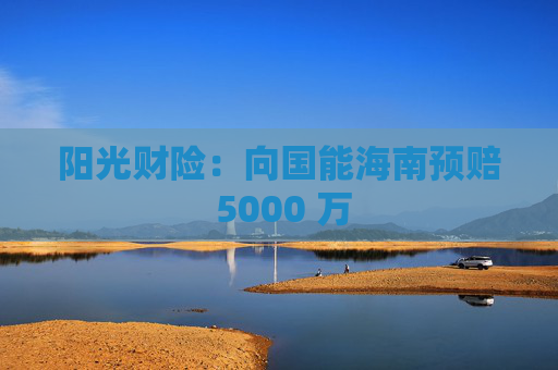 阳光财险：向国能海南预赔 5000 万