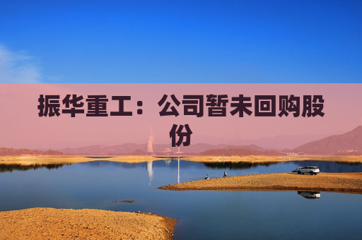 振华重工：公司暂未回购股份