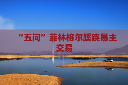 “五问”菲林格尔蹊跷易主交易