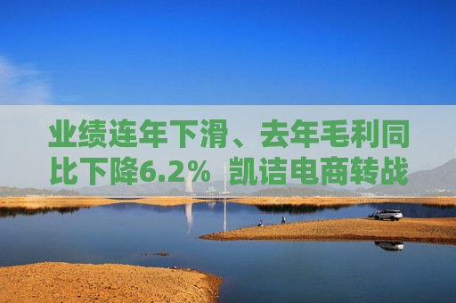 业绩连年下滑、去年毛利同比下降6.2%  凯诘电商转战港股：能打破电商代运营增长困境吗？