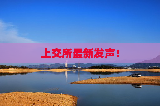 上交所最新发声！