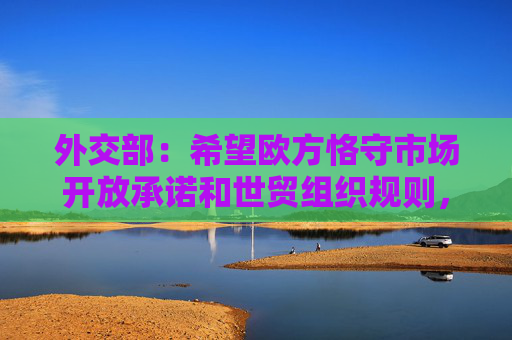 外交部：希望欧方恪守市场开放承诺和世贸组织规则，为中国企业提供公平透明、非歧视的营商环境