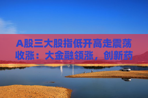 A股三大股指低开高走震荡收涨：大金融领涨，创新药概念股表现活跃