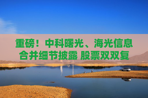 重磅！中科曙光、海光信息合并细节披露 股票双双复牌