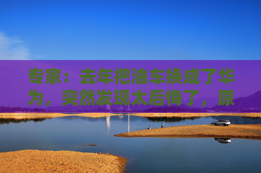 专家：去年把油车换成了华为，突然发现太后悔了，原因是……