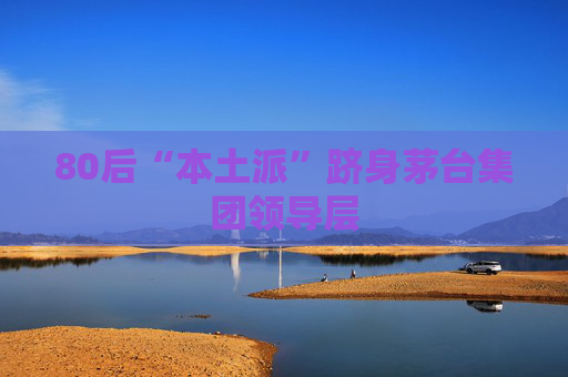 80后“本土派”跻身茅台集团领导层