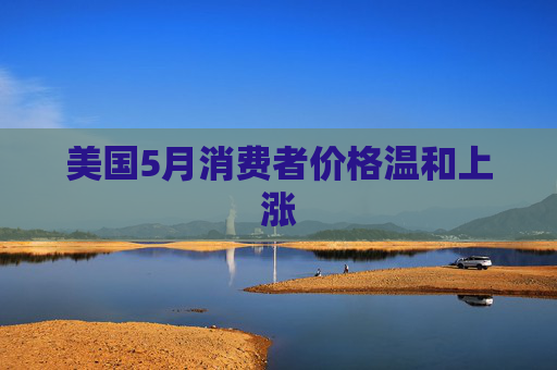 美国5月消费者价格温和上涨