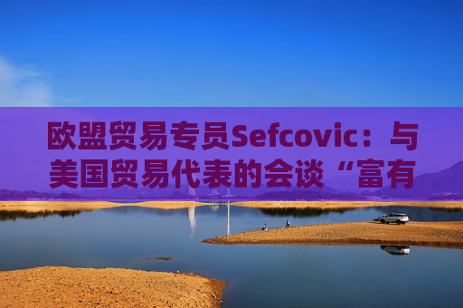 欧盟贸易专员Sefcovic：与美国贸易代表的会谈“富有成效”