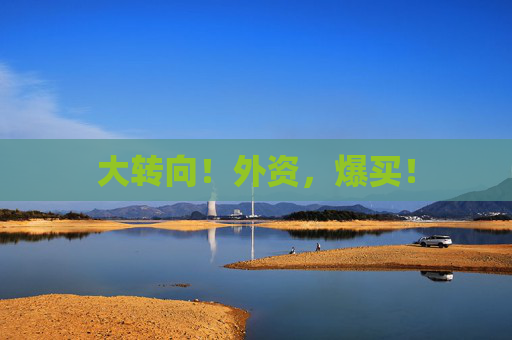 大转向！外资，爆买！