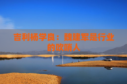 吉利杨学良：魏建军是行业的吹哨人