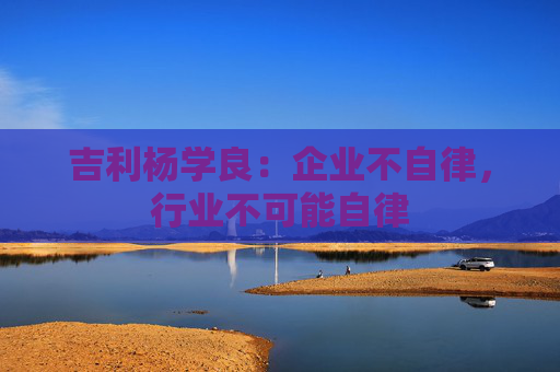 吉利杨学良：企业不自律，行业不可能自律