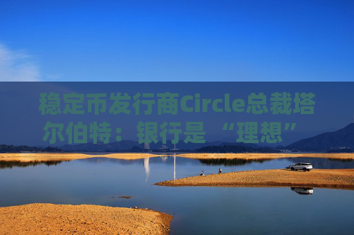 稳定币发行商Circle总裁塔尔伯特：银行是 “理想” 合作伙伴