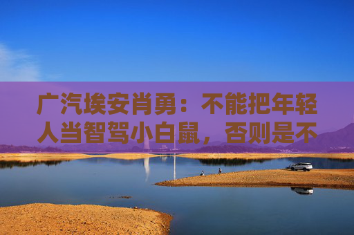 广汽埃安肖勇：不能把年轻人当智驾小白鼠，否则是不讲良心