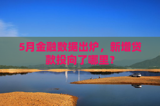 5月金融数据出炉，新增贷款投向了哪里？