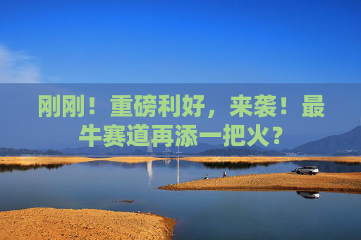 刚刚！重磅利好，来袭！最牛赛道再添一把火？