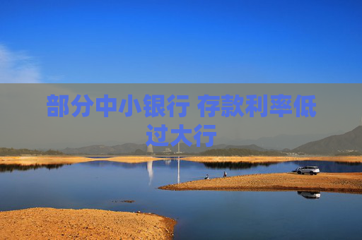 部分中小银行 存款利率低过大行