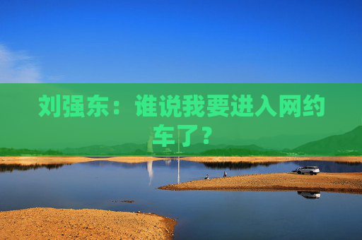 刘强东：谁说我要进入网约车了？