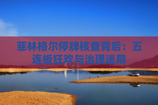 菲林格尔停牌核查背后：五连板狂欢与治理迷局
