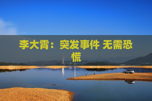 李大霄：突发事件 无需恐慌