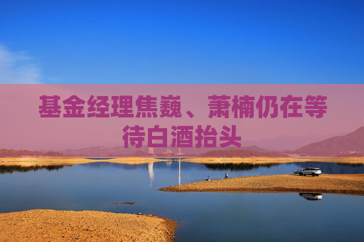 基金经理焦巍、萧楠仍在等待白酒抬头