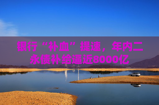 银行“补血”提速，年内二永债补给逼近8000亿