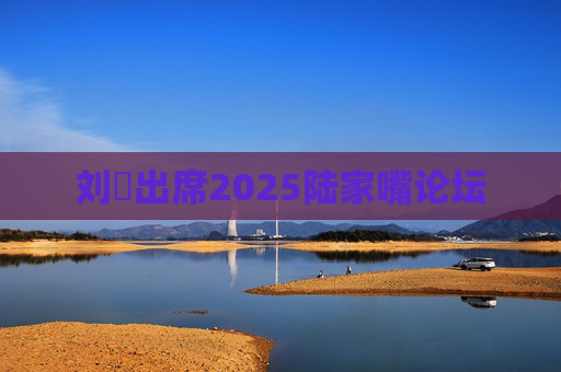 刘珺出席2025陆家嘴论坛