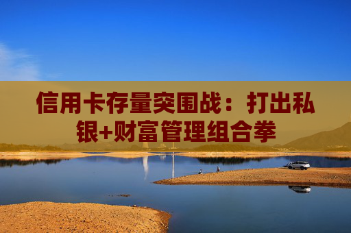 信用卡存量突围战：打出私银+财富管理组合拳