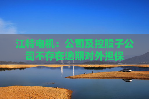江特电机：公司及控股子公司不存在逾期对外担保