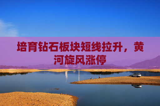 培育钻石板块短线拉升，黄河旋风涨停