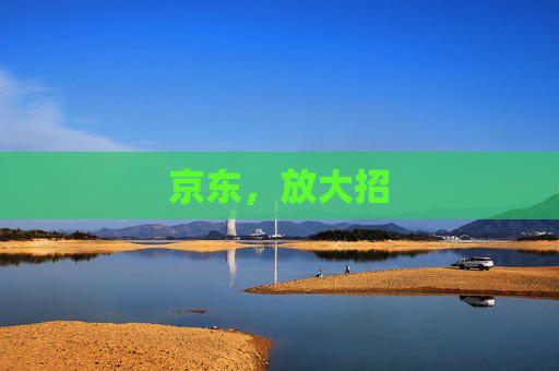 京东，放大招