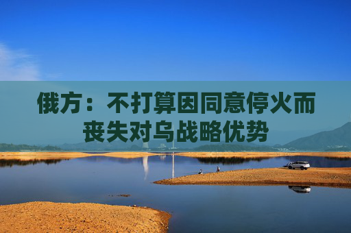 俄方：不打算因同意停火而丧失对乌战略优势