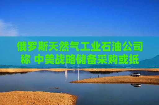 俄罗斯天然气工业石油公司称 中美战略储备采购或抵消石油过剩