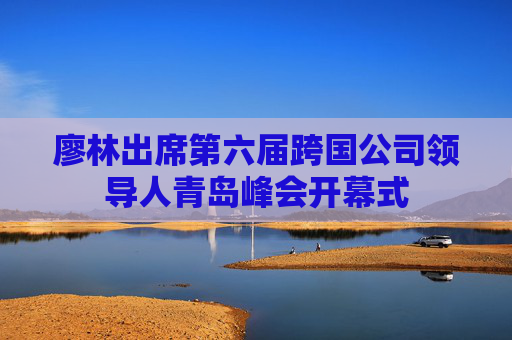 廖林出席第六届跨国公司领导人青岛峰会开幕式
