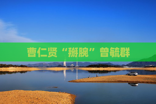 曹仁贤“掰腕”曾毓群