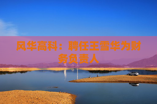 风华高科：聘任王雪华为财务负责人