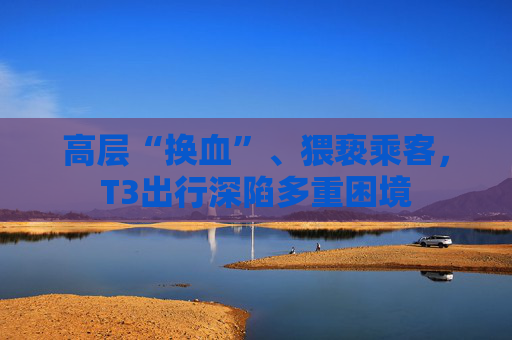 高层“换血”、猥亵乘客，T3出行深陷多重困境