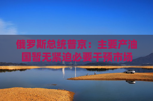 俄罗斯总统普京：主要产油国暂无紧迫必要干预市场