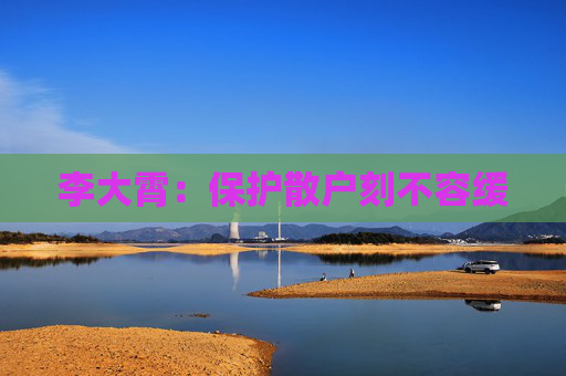 李大霄：保护散户刻不容缓