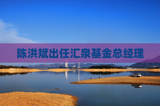 陈洪斌出任汇泉基金总经理