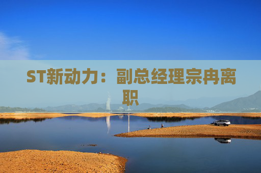 ST新动力：副总经理宗冉离职
