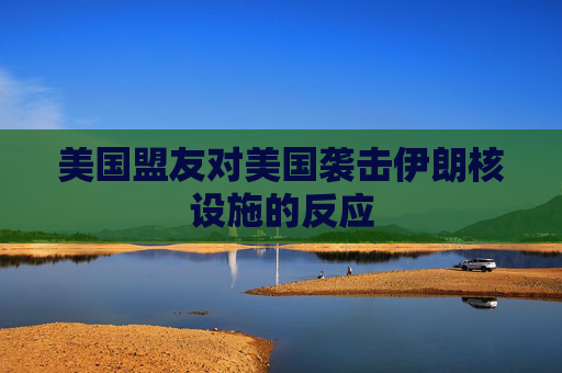 美国盟友对美国袭击伊朗核设施的反应
