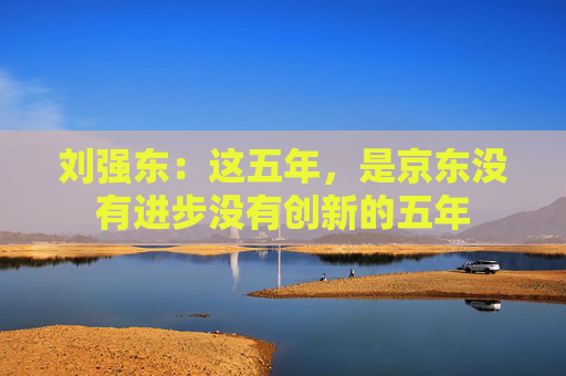 刘强东：这五年，是京东没有进步没有创新的五年