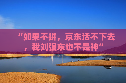 “如果不拼，京东活不下去，我刘强东也不是神”