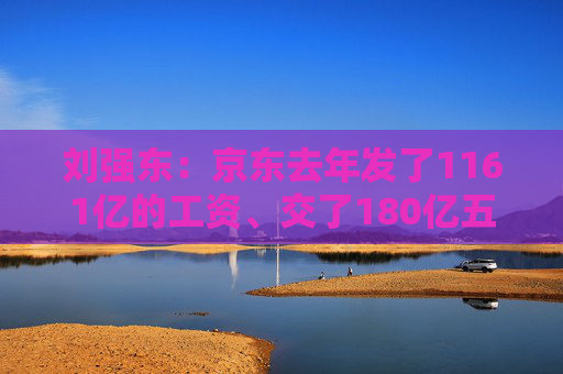 刘强东：京东去年发了1161亿的工资、交了180亿五险一金，没有把利润当成第一大追求
